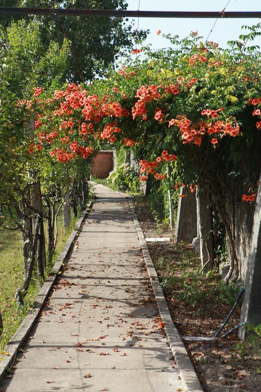 Quinta De Santo Antonio Villa Muro Dış mekan fotoğraf